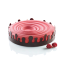 قالب سيلكون