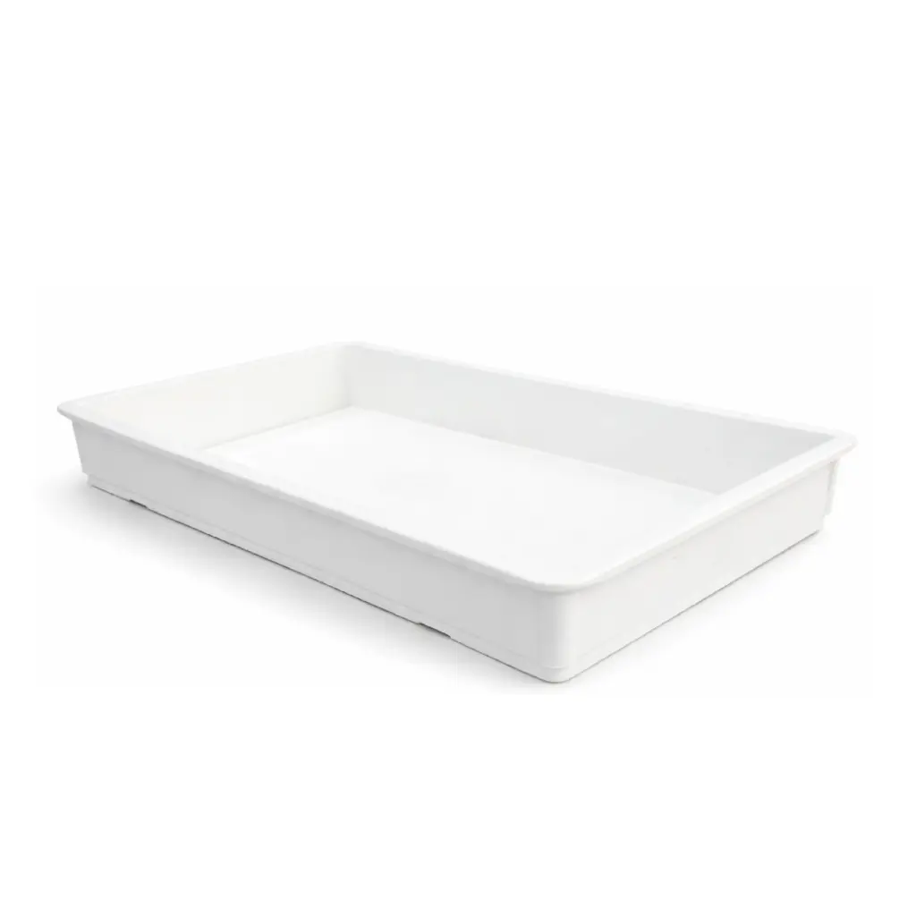 Dough Storage Box (M)-Europe PP-60*40*7.5